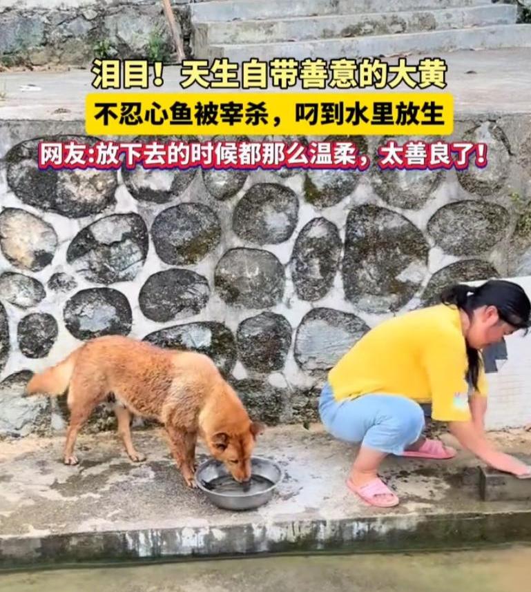 万万没有想到。湖南，一女子用盆装着一条鱼到门前河边准备宰杀，而在女子磨刀期间，家