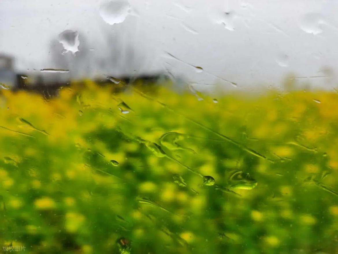 春雨

文/申明洲

福州去年干了一整冬，就连风都显得有些干燥，吹过树枝时，发出