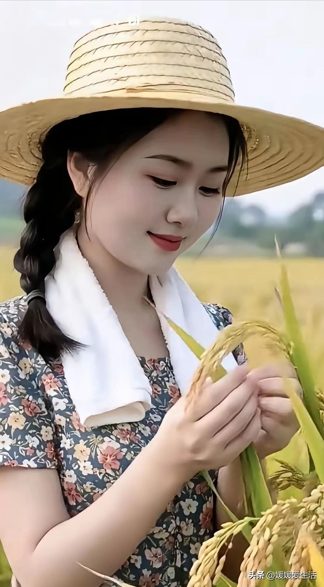 “春种一粒谷”，接句可有不少选择。最经典的当属“秋收万颗子”，出自唐代李绅的《悯