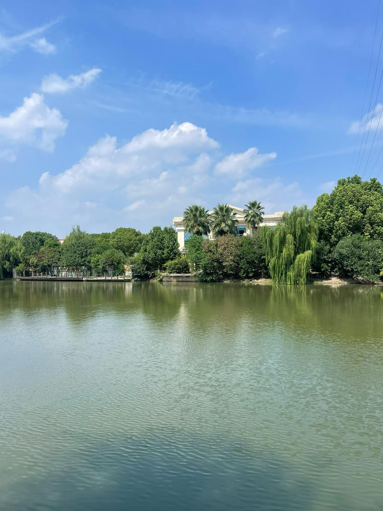 金色的九月，阳光不再灼人，落在肩上是暖的、柔的；空气里浮着桂花的甜香和稻穗的清芬