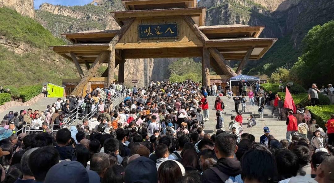 五一假期好像在下饺子春日放个疯 ​​​
