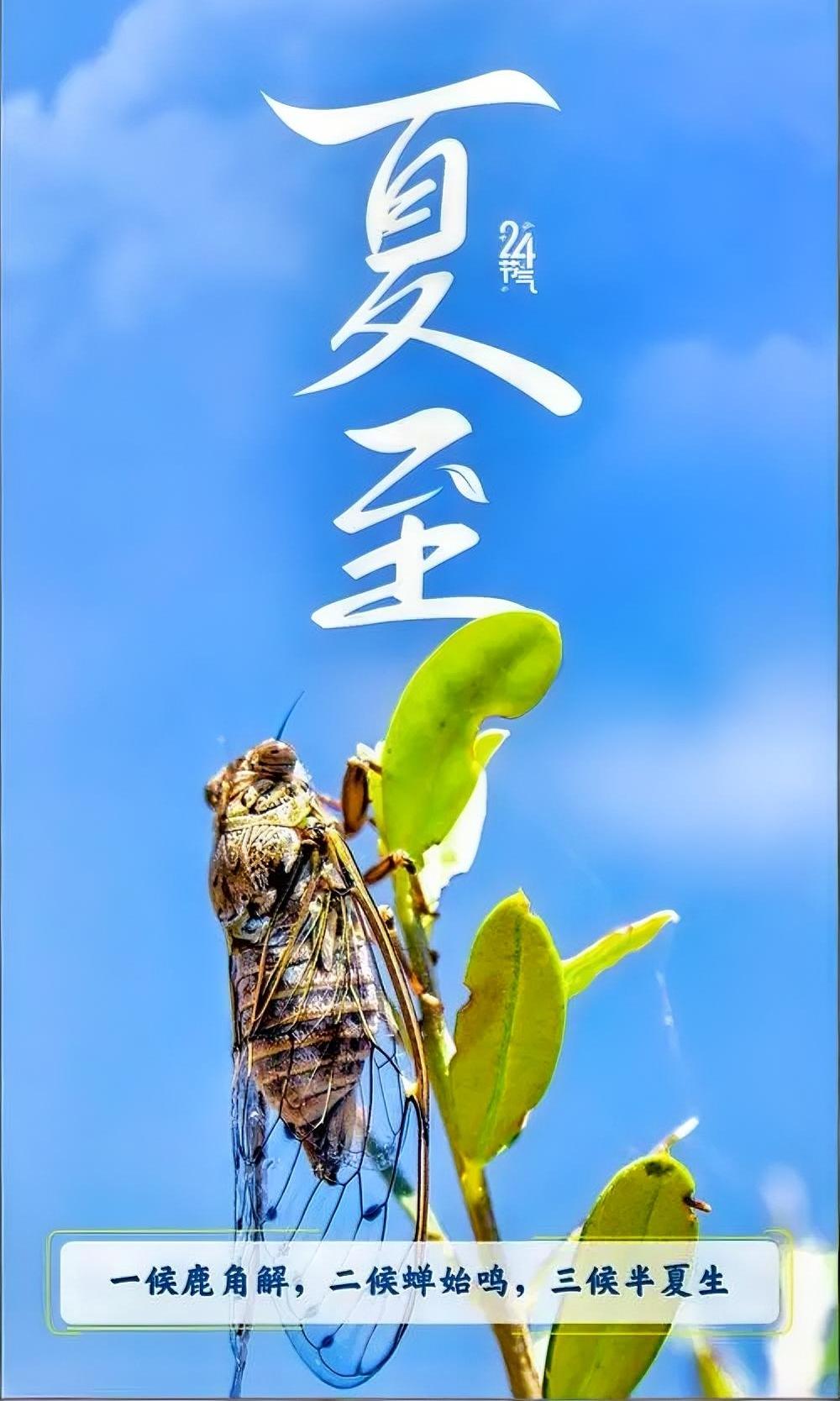 夏至来临，愿你的幸福如夏日阳光般普照，温暖生活的每一个角落，让美好常伴左右。
夏