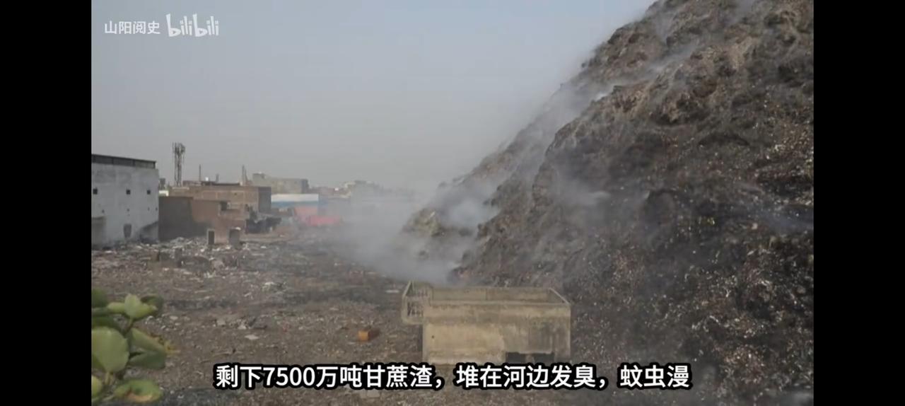 印度7500万吨的甘蔗渣暴殄天物，不妨我们拉来。
臭气熏天
让印度政府烧坏了无数