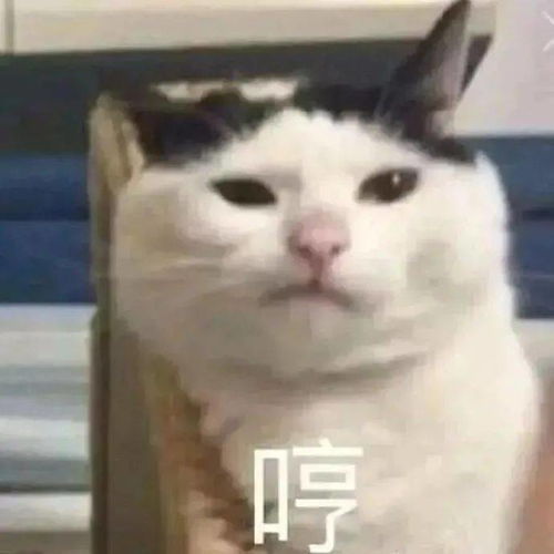 跟物理不好的人解释不清 试图说明“冬天穿深色更保暖是因为吸热”，对方坚持“深色看