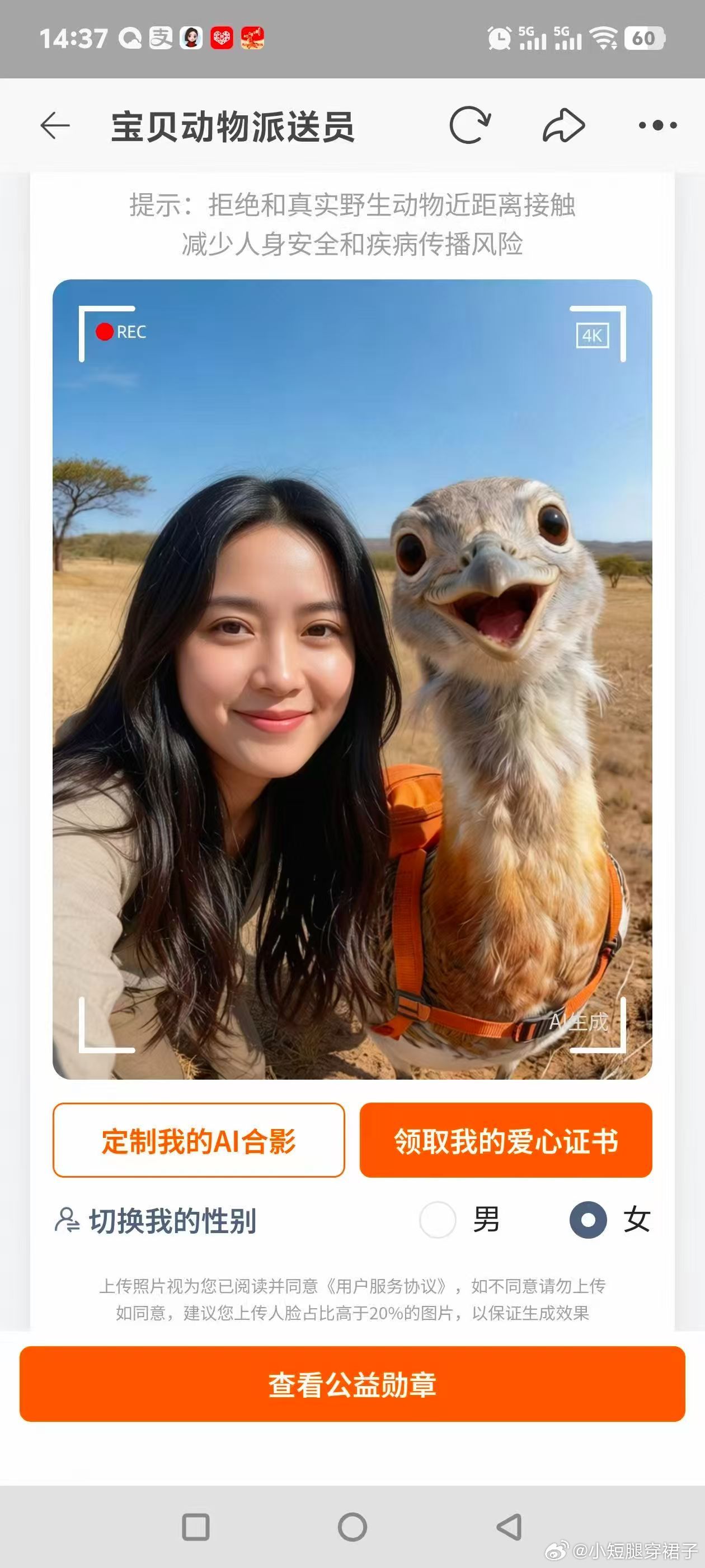 我的是天津大鸨唉，他来给我送货。淘宝上新了34个动物派送员淘宝特邀宝贝动物来送货