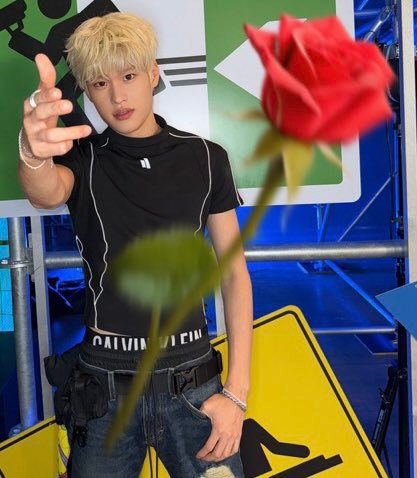 🌹 