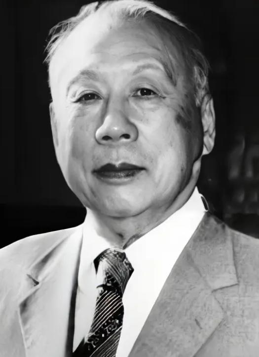 1945年9月底，已经向我军投降的日军航空队队长林弥一郎，在和伍修权交谈时，看到
