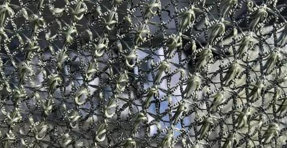 乌克兰无人机在天上横行的日子到头了？谁也没料到，终结它们的不是激光武器，不是电子