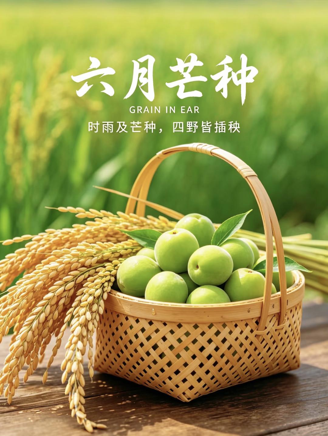芒种节气文案，芒种至，夏意浓，忙而不茫，收获希望~芒种 今日芒种 
1.芒种至，