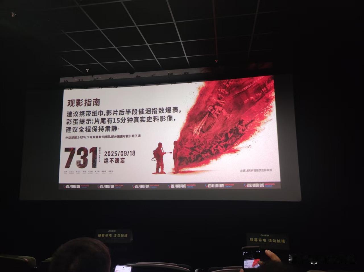 731这个能让人更爱国，珍惜当下的生活已经不容易了，拍的还是很不错，很多需要打马