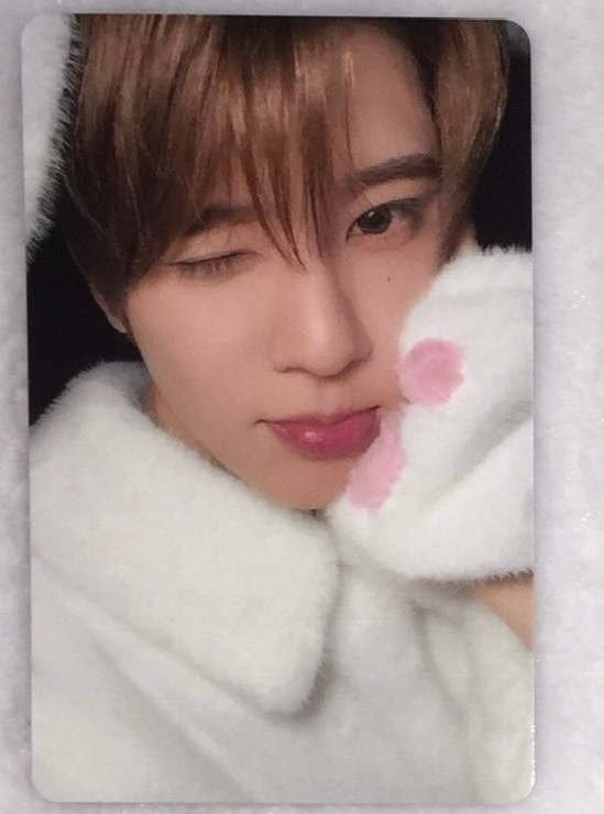 雪兔melon抽选卡 ©️ed3fdd