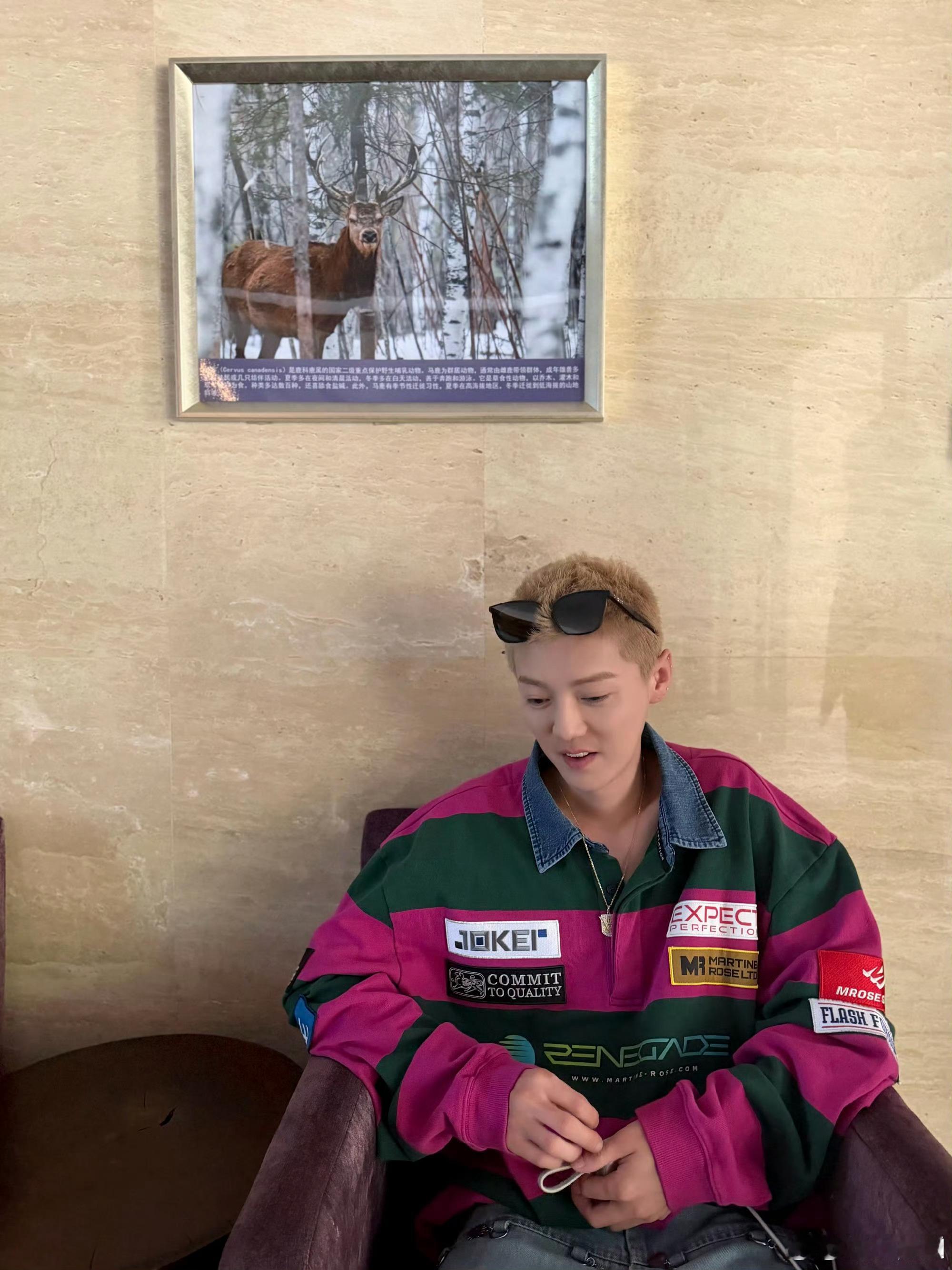 把鹿晗整害羞了 众人接唱成功后，默契地给鹿晗唱生日快乐歌，把他弄得害羞到想躲起来