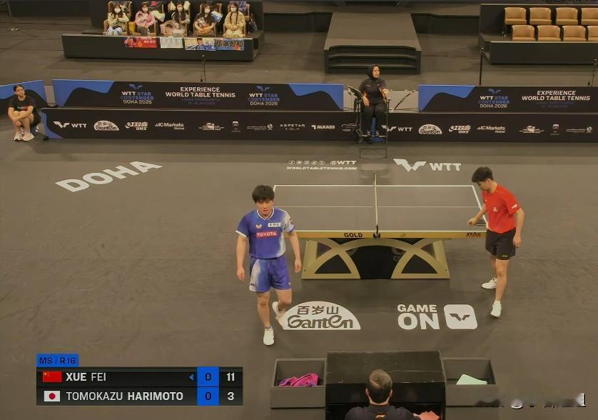 我有一个大胆的猜测，  
张本智和可能真要被他爸“关小黑屋”特训了！  

不是