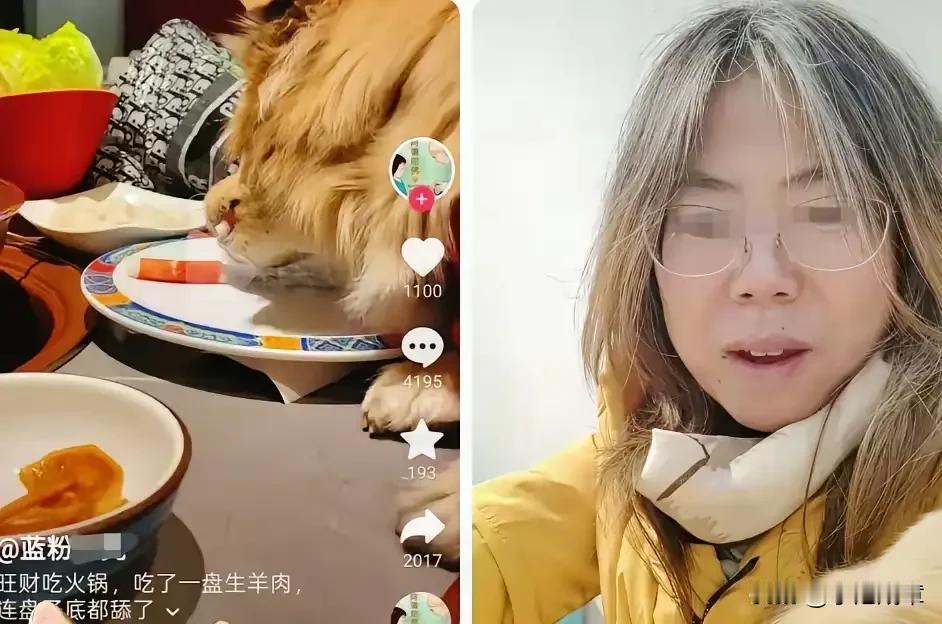 “我该怎么夸你”

近日，有多个自媒体争相转发了这样一段视频，画面中只见一条宠物