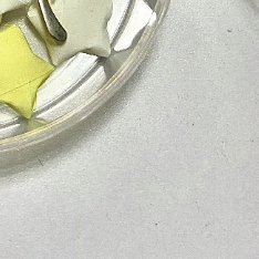 🌲阳光信用🌲每日一善🌲热情就像燃烧的篝火，能点燃众人的激情；似绚烂的烟火，