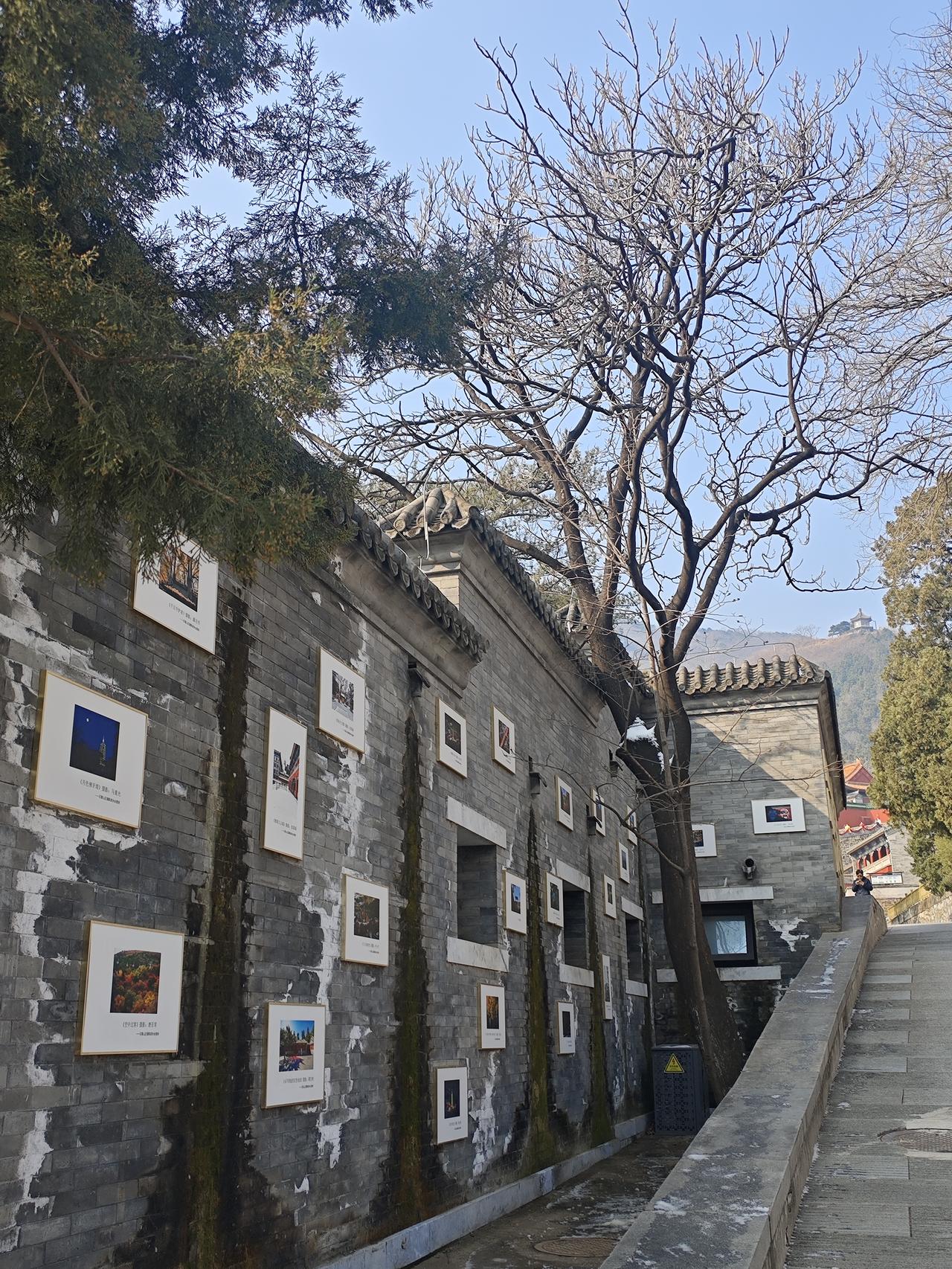 晒图笔记大赛漫步广场望着石墙挂画似藏着岁月的故事，心情悠然。