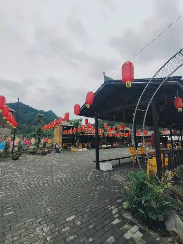 曾经火爆的农家乐，如今很多都生意惨淡，甚至超8.4万家倒闭。十几年前，城郊农家乐