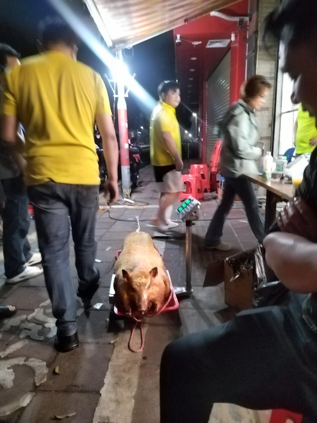 很多人总在等一个答案，等别人肯定，等时机成熟，等万事俱备。可等到最后才明白：人生