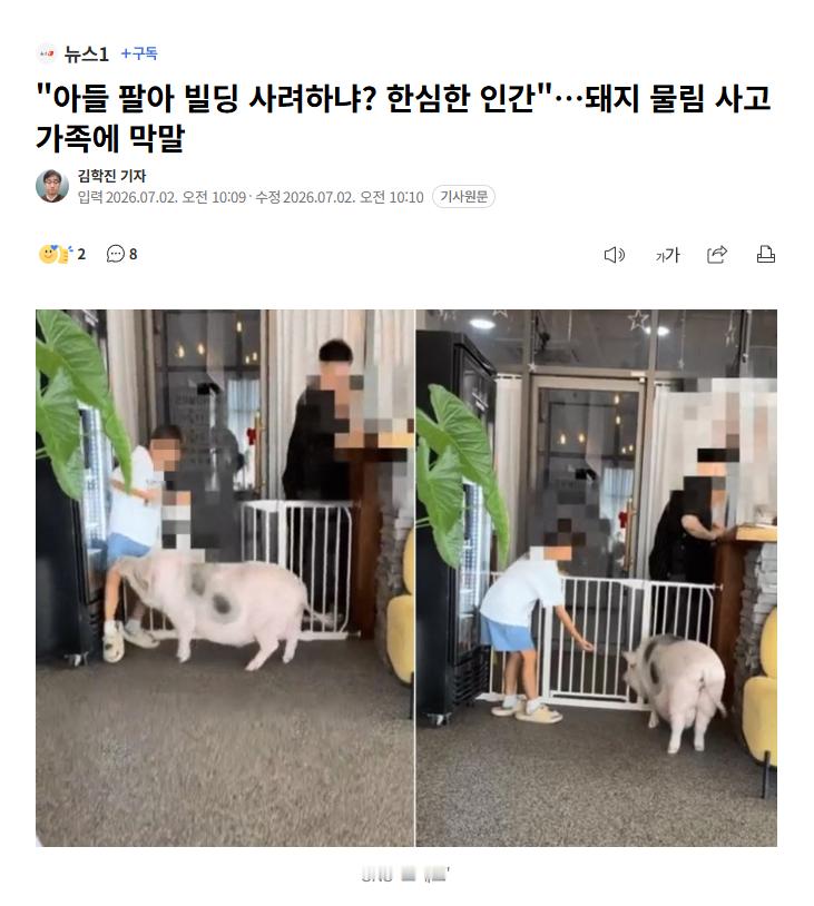 【韩国咖啡厅宠物猪咬伤8岁儿童，店主从道歉秒变脸：讽刺家长“卖儿换楼”、拒赔医疗