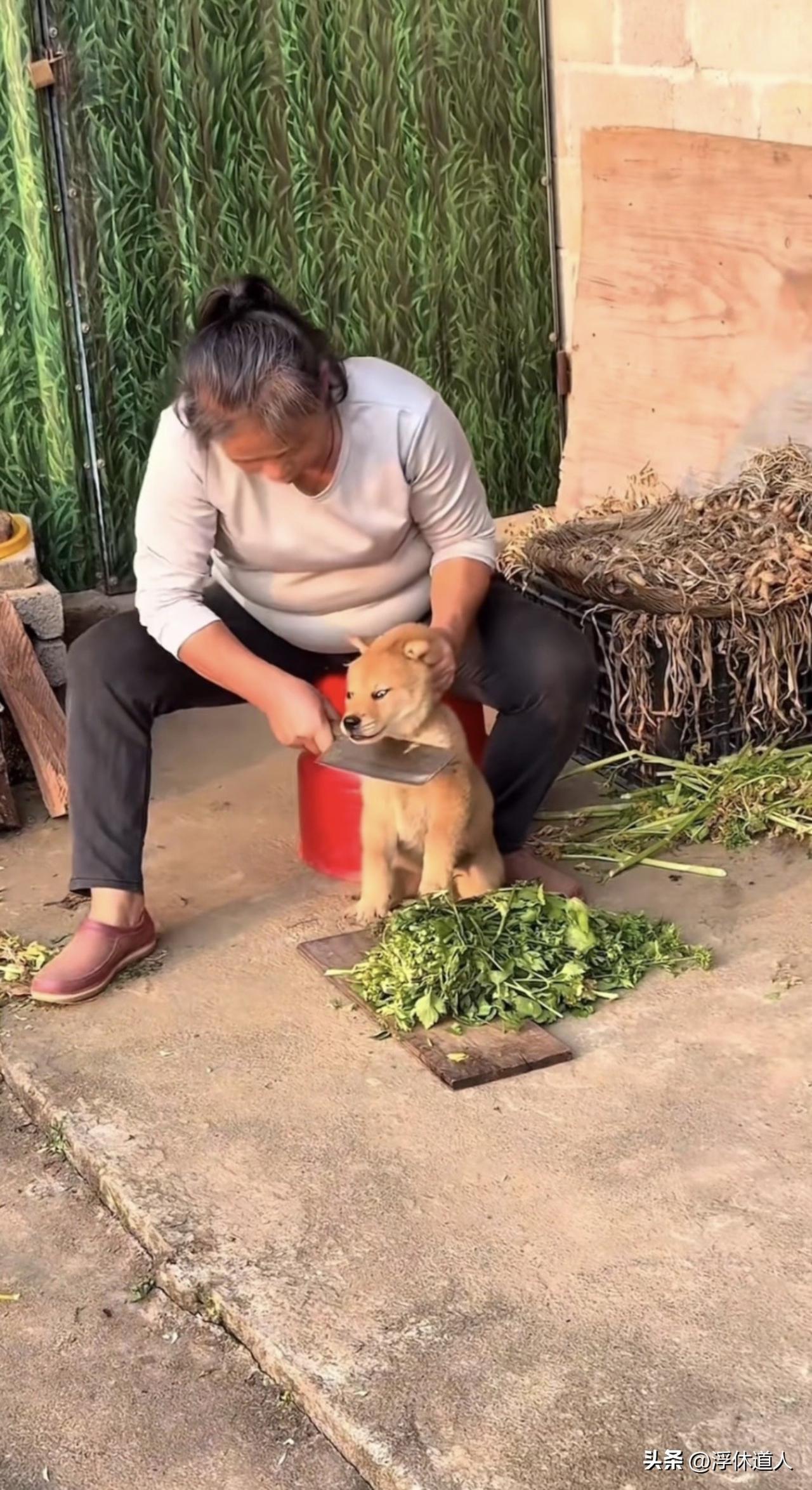 ·前半生很善良的人，后半生大概率会无情。

·前半生重情重义的人，后半生大概率只