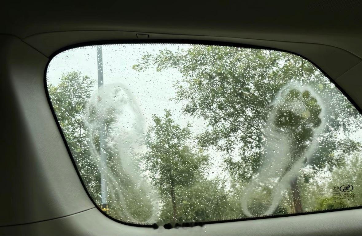专业知识缺失了，帮忙猜个车 
