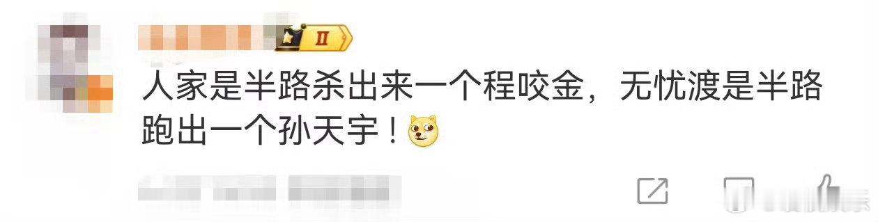无忧渡半路跑出来一个孙天宇 必须给孙天宇的演技点个赞！在无忧渡里演的李贤太出彩了