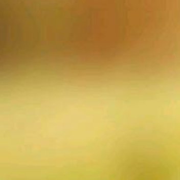 正能量要知道，人与人交往，最累的事情，莫过于跟认知不同的人争辩，你讲你的道理，他