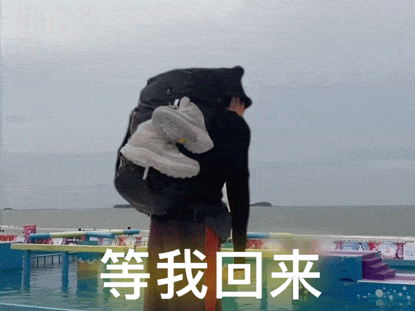 这场野的风一定会吹到武汉，虽然说听到延期的消息感到吃惊和惋惜，但知道是为了给期待