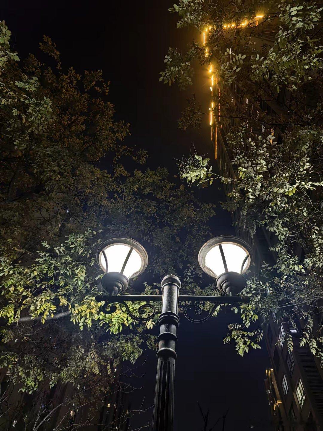 纯血鸿蒙加持的 Mate70 Pro+夜景拍摄，这效果，还有谁能与之抗衡？[哈哈