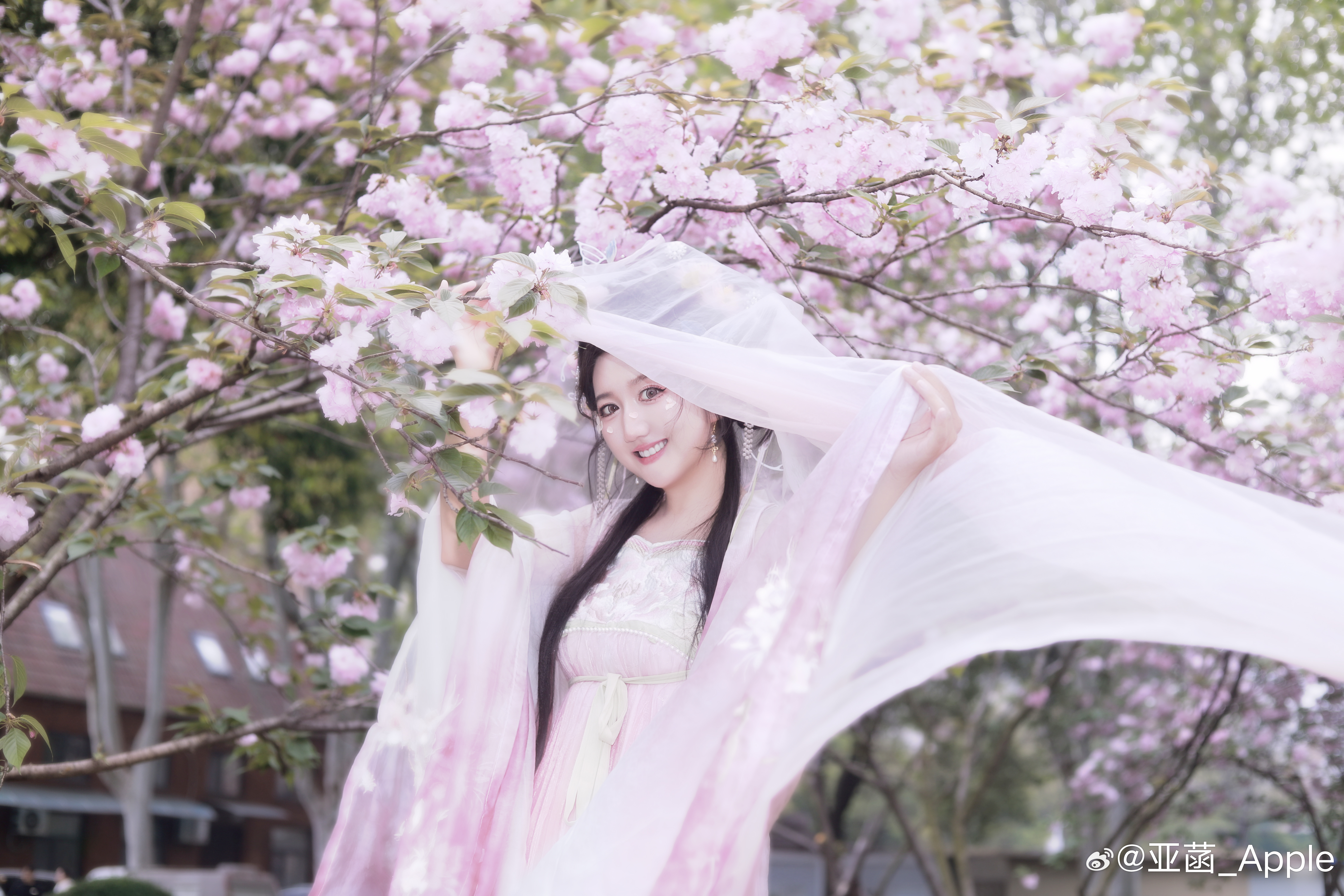 海棠树下站谁都美🌸菡菡子的日常OOTD