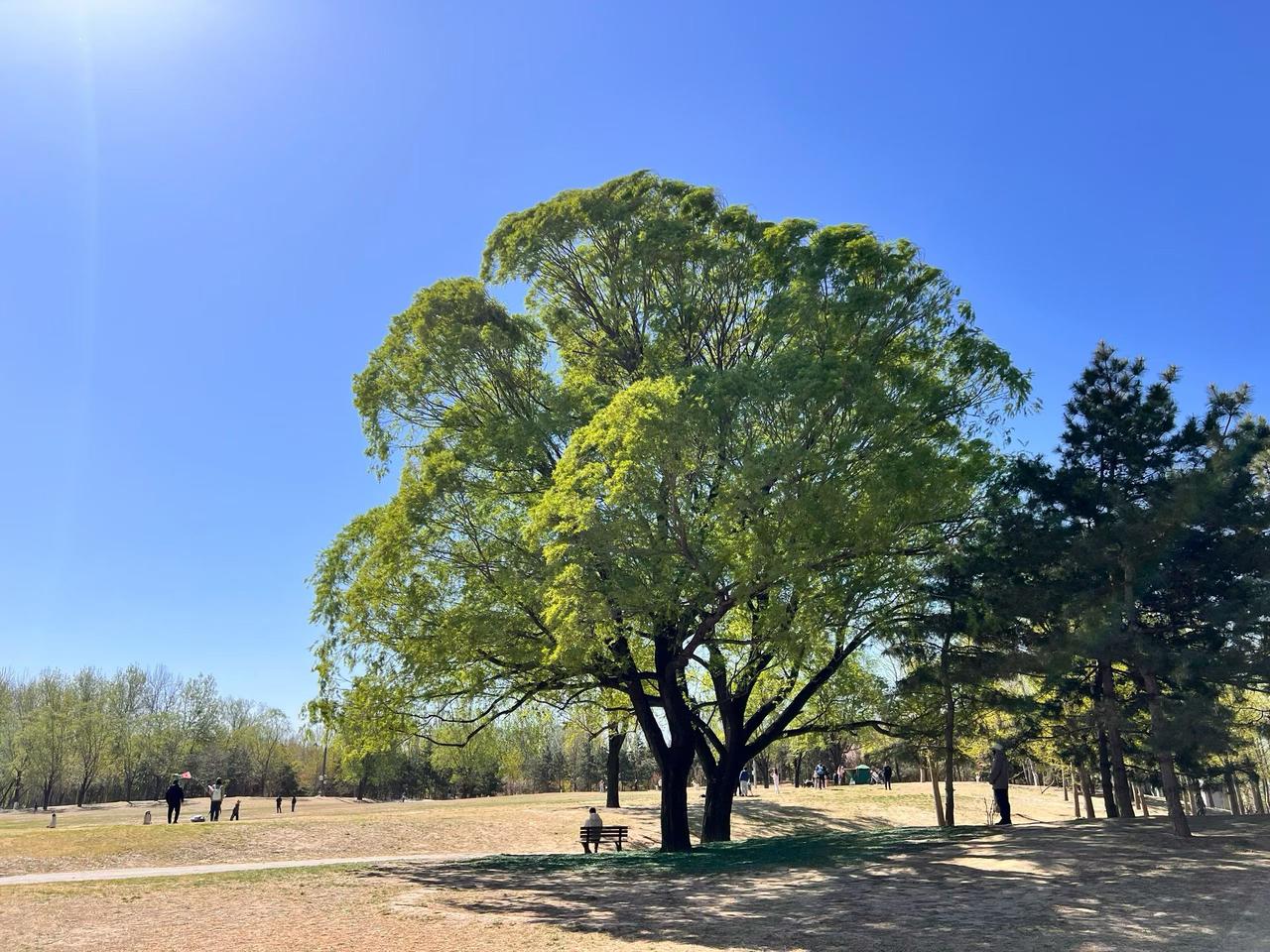 我50岁了，活成了自己最不想要的样子:
1、领着最低的退休工资1500元，还要再