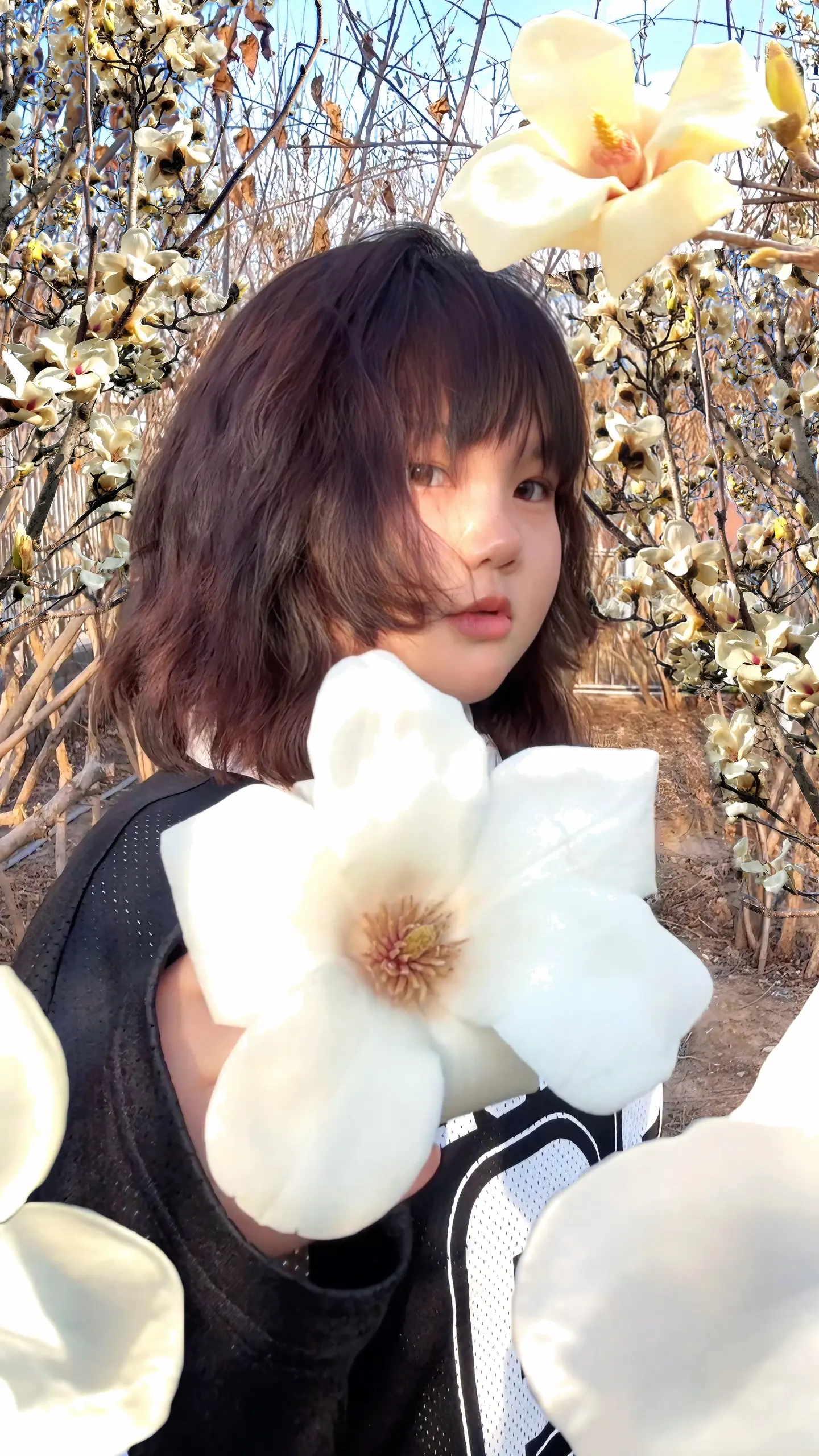 我想我爱你。阳光是最好的滤镜