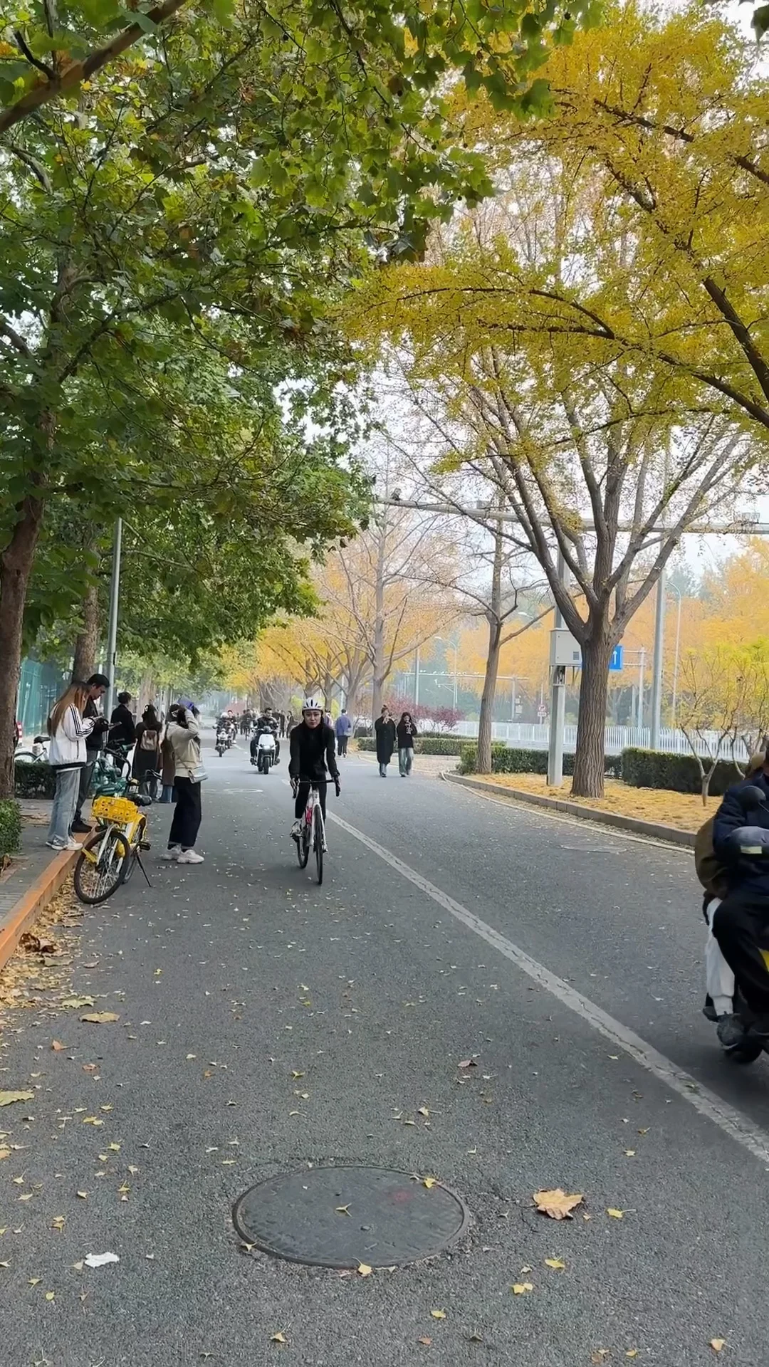 不做旁观者只做骑行人｜秋日骑行🍂