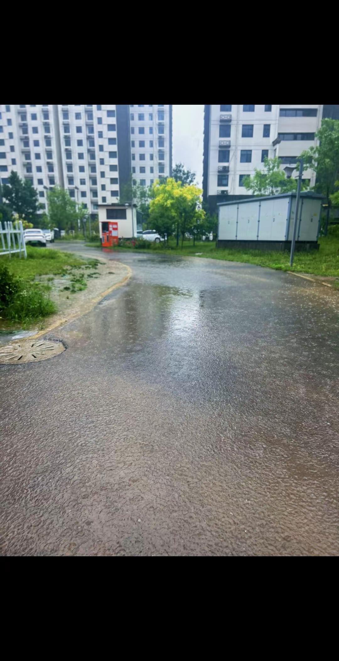 这天真好