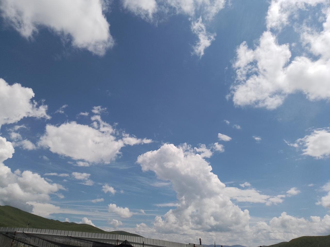 穷的有点烦。腊肉，都不想吃，又不让倒。那带皮鸭肉。带皮弄多了。不想吃又不让倒。明