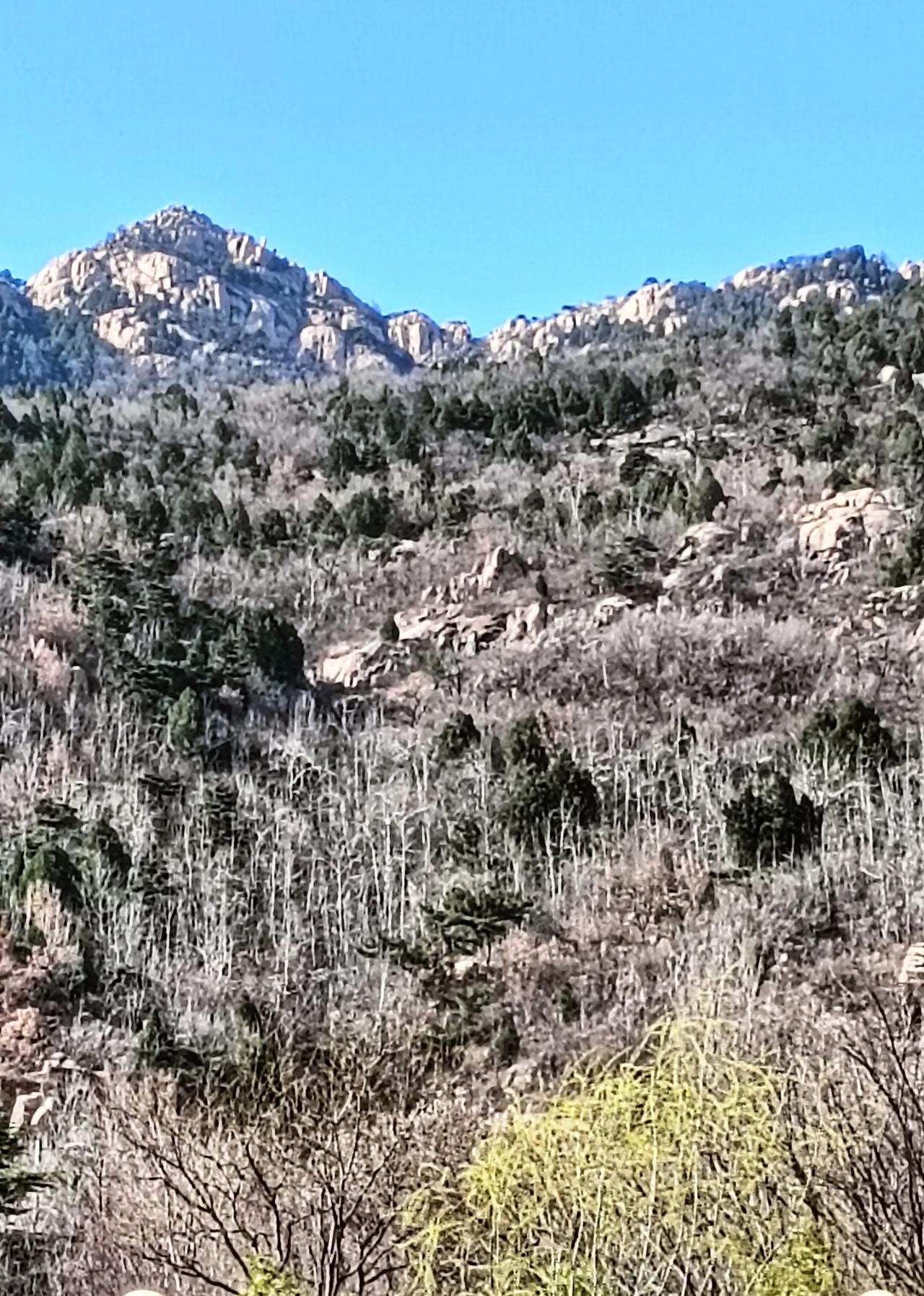 泰山环山路上
(随拍，随笔)
午休后走在泰山的环山路上，亲身感受到了春的气息。