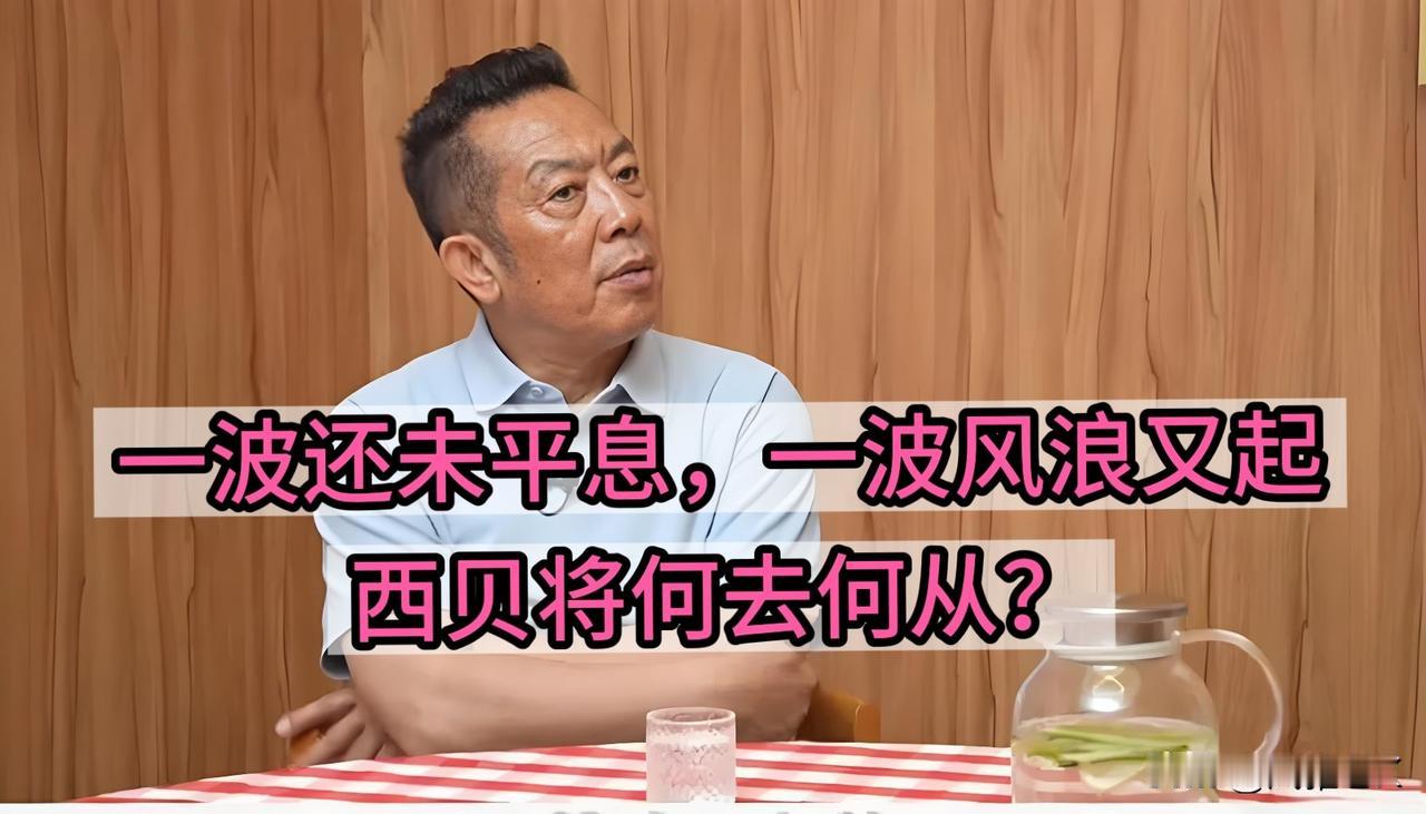 贾国龙  
“挽西贝大厦之将倾，纳官媒坦诚之言论”
却又逢郭律师之状告，将何去何