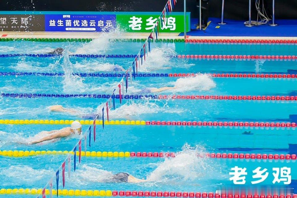 汪顺200混13连冠 老乡鸡2026全国游泳冠军赛比赛图集，恭喜顺哥在全国游泳冠
