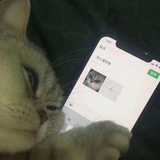 暖圈热聚娱乐