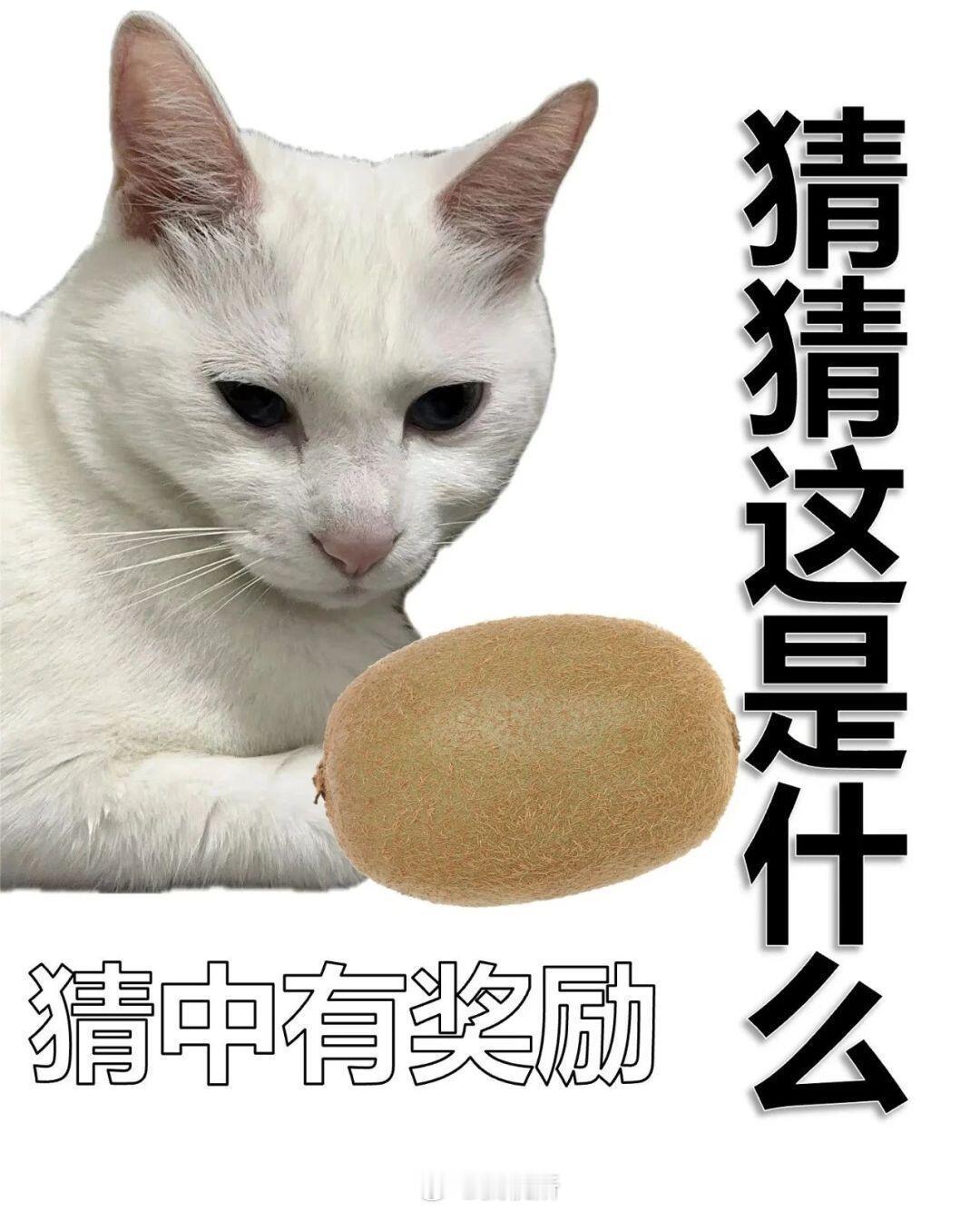 灵感离家出走，实在编不出文案，摆烂式发文，给大家整点实在的，关注 + 转发，抽 
