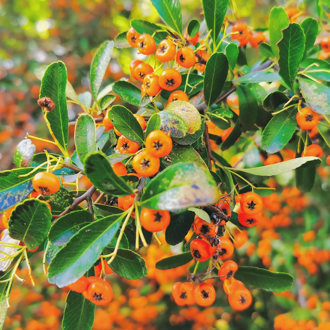 🌤²º²⁴/₁₀.₁₆ ꙳⸜🚗⸝ໍ 𖥧𖥧🍑 ꃅꍏᖘᖘꌩ🍁
别焦虑，