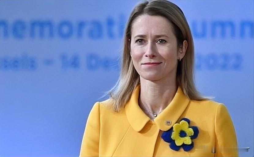 欧洲外交和政策高级代表卡拉斯呼吁美国尊重国际法和委内瑞拉人民，这得到除匈牙利以外