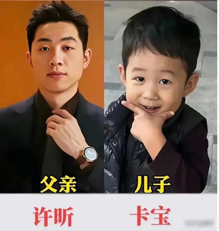 体坛父子许昕卡宝
体坛父子马琳沐汐
体坛父子苏炳添苏浩宸
三对体坛父子，你喜欢哪