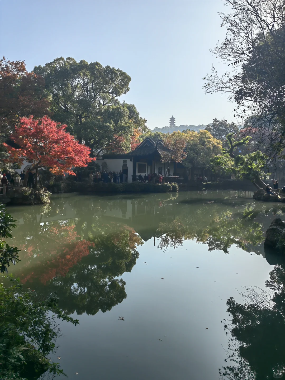 12.1｜惠山古镇秋景手机实拍🍁