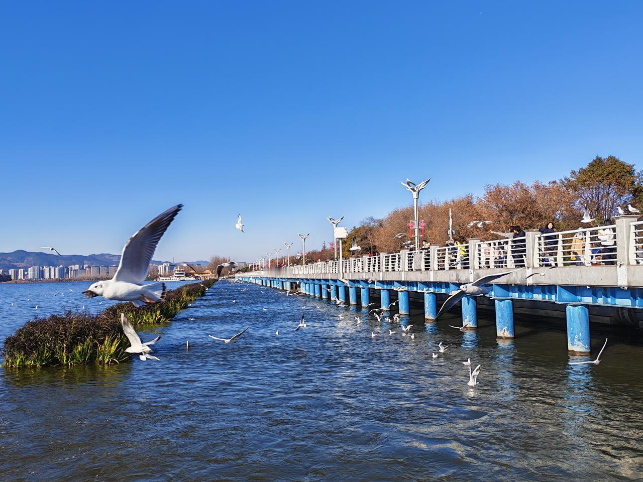 【现在的年轻作家远胜我们这一代文字匠】不得不承认一个现实，那就是长江后浪推前浪，