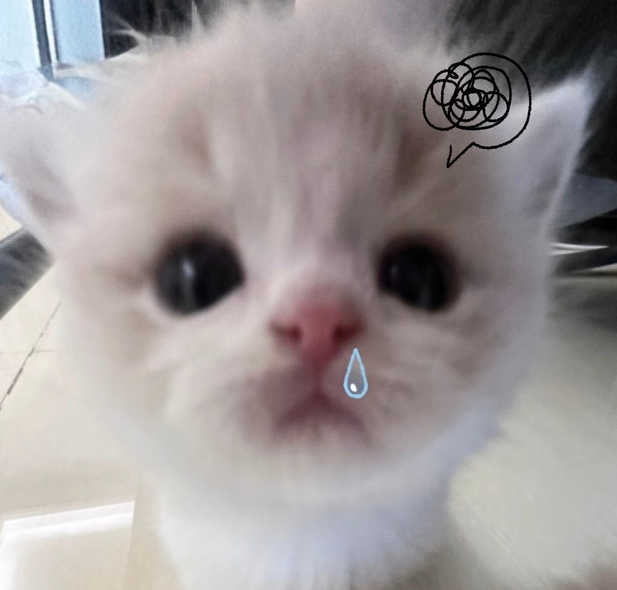 这个就是我呀 