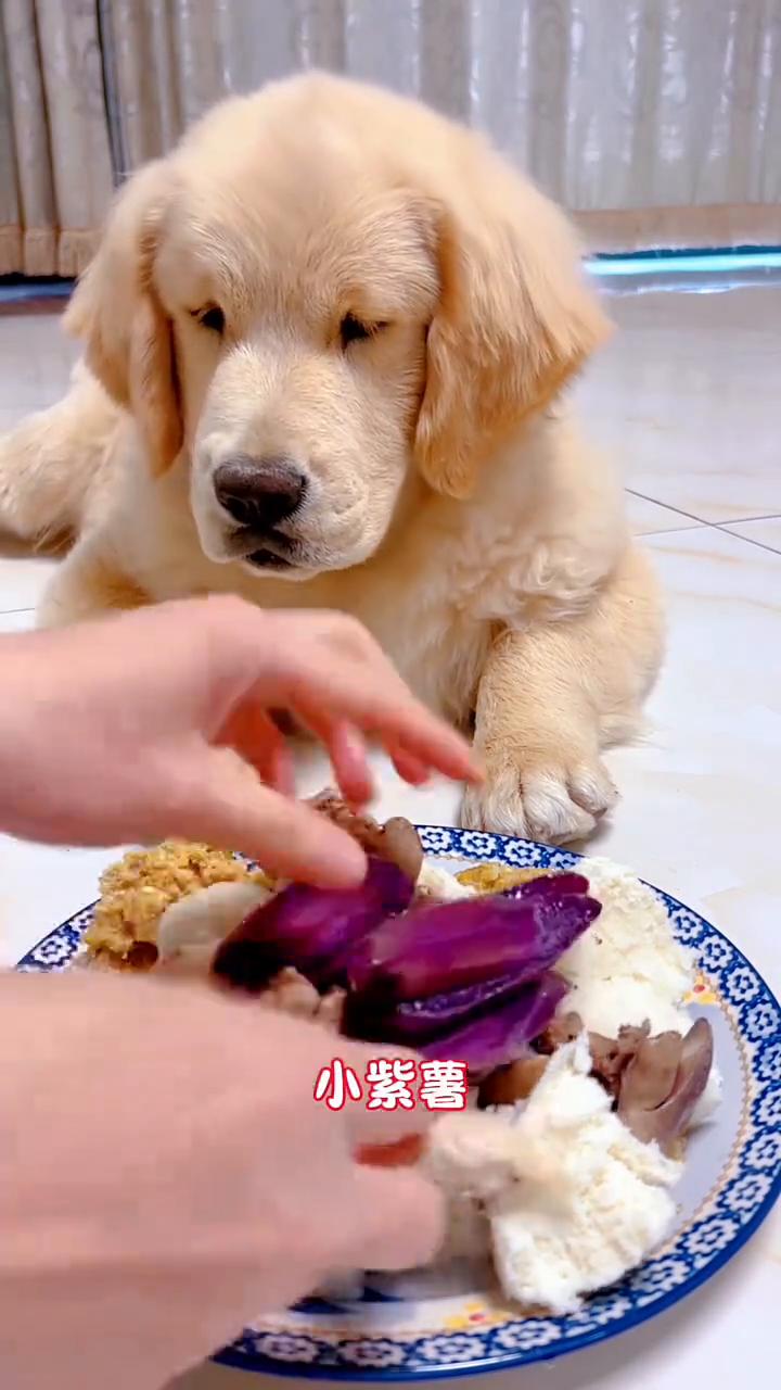 大窝头一个，大馒头一个，生命的源泉一碗。小鸡肝，鸡胸肉，小紫薯，胡萝卜，鸡蛋，西