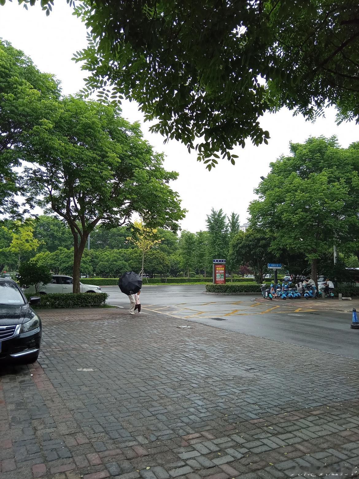 鹤壁又下雨啦🌧️
 
咱鹤壁的雨说来就来！昨天刚下过雨，今天周日又迎来一波降水