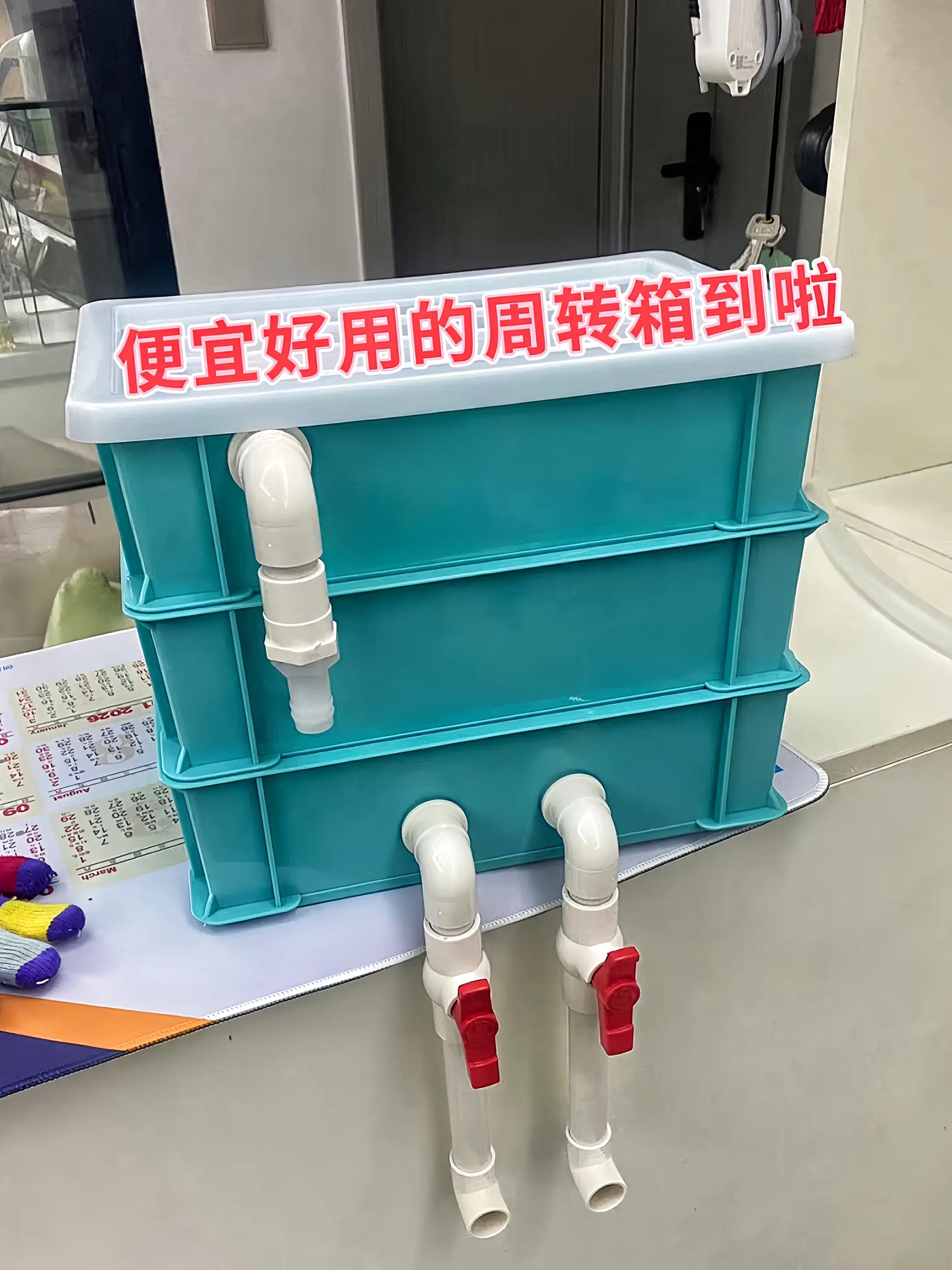 拒绝高价过滤设备！食品级周转箱材质坚固耐用，抗摔防腐蚀，轻松应对日常使...