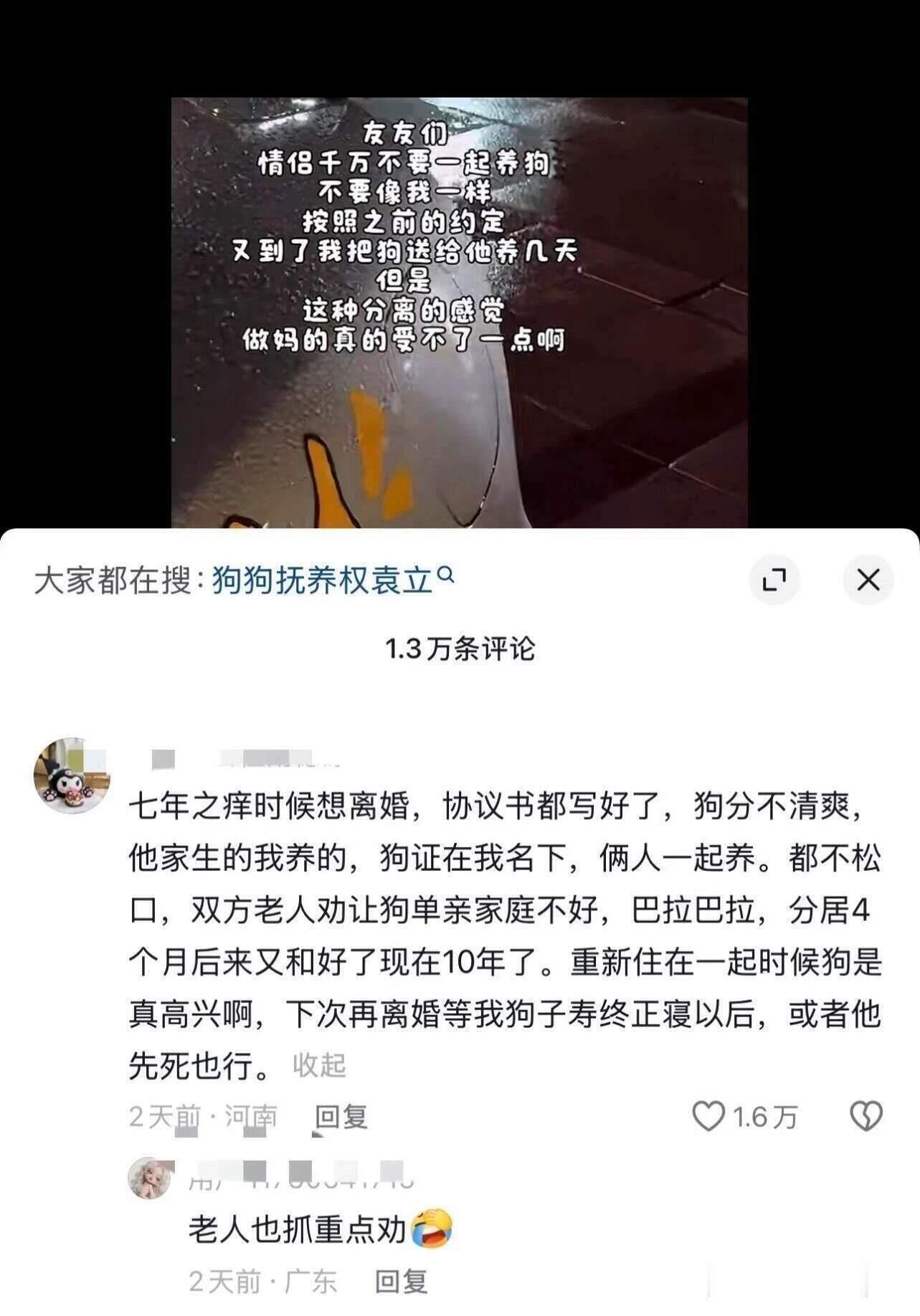 一代人有一代人的抚养权要争 